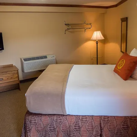 Wild Bear Inn Pigeon Forge Extérieur photo