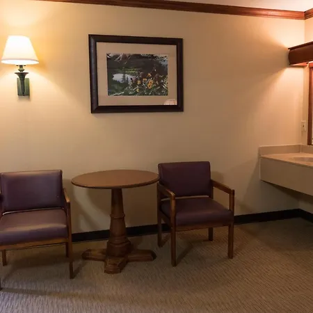 Wild Bear Inn Pigeon Forge Extérieur photo