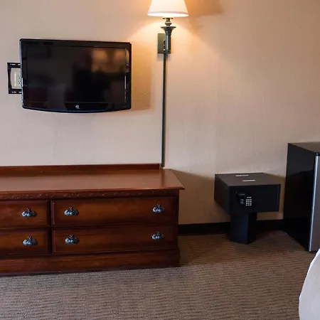Wild Bear Inn Pigeon Forge Extérieur photo
