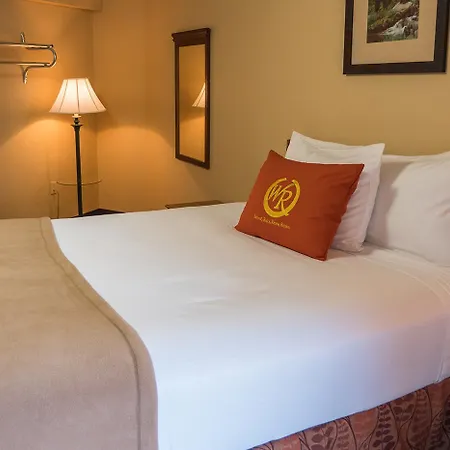 Wild Bear Inn Pigeon Forge Extérieur photo